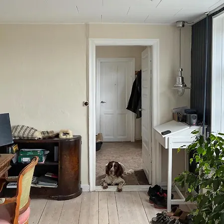 Beautiful In With Wifi بيت للعطل